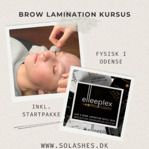 brow lamination kursus